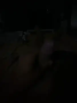 Patronel webcam