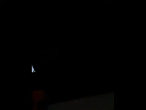 felopayl webcam