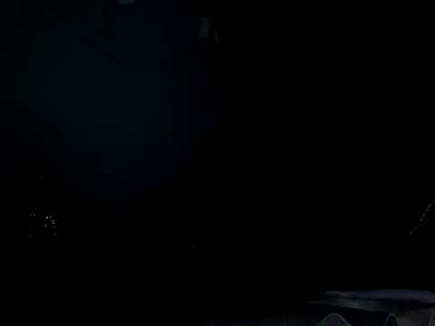 funalu webcam