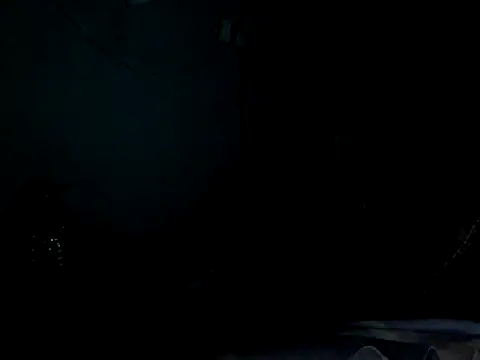 funalu webcam