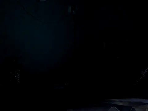 funalu webcam