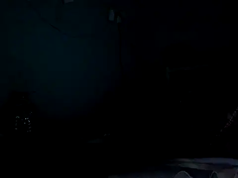 funalu webcam