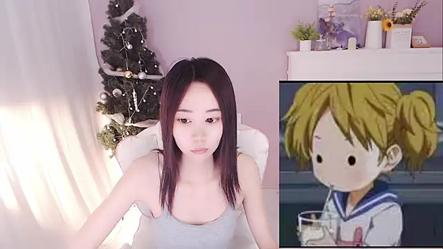 hall-33 webcam