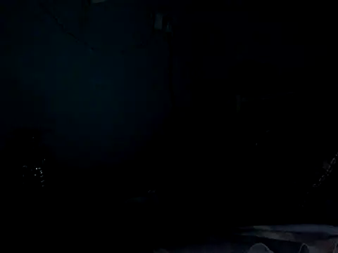 funalu webcam