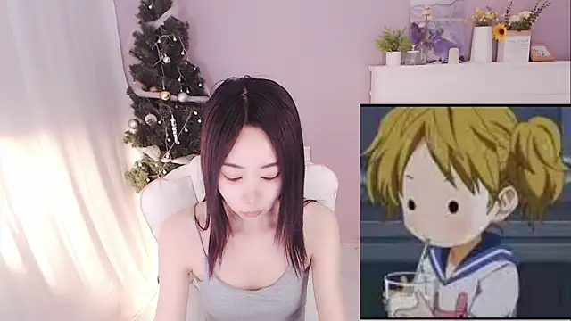 hall-33 webcam