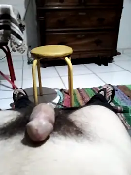 userbrasil12345 webcam