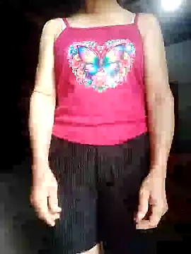 phlin1 webcam