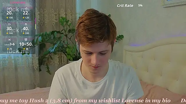 Allert_ webcam