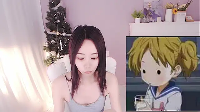 hall-33 webcam