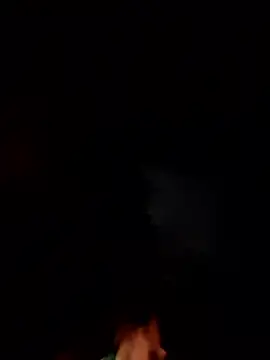Toycockhot webcam