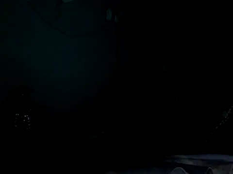 funalu webcam