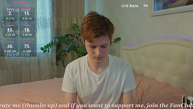 Allert_ webcam