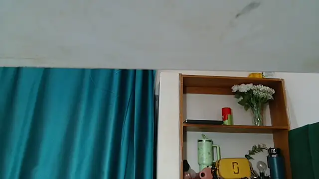 Theecougar webcam