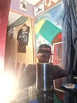 Toycockhot webcam