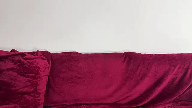 Marcellean webcam