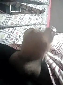 Teddybrocshow0011 webcam
