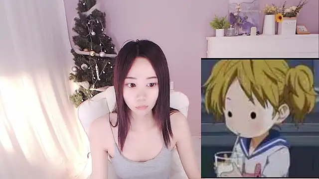 hall-33 webcam