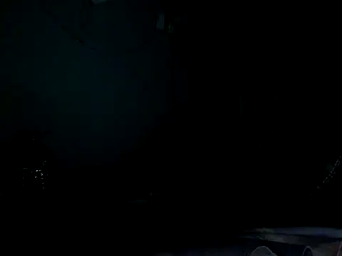 funalu webcam