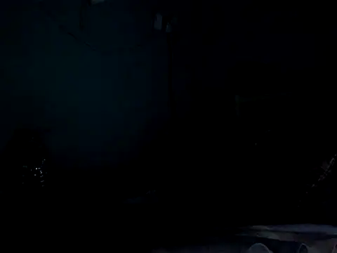 funalu webcam