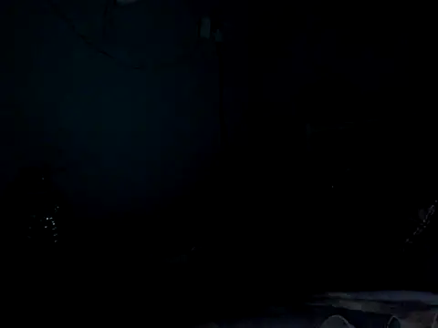funalu webcam