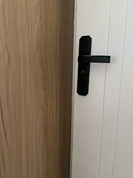 ela_sisi