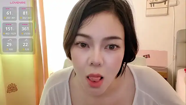 Linda-LL webcam