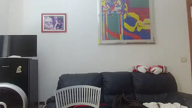 AMIRDIB2025 webcam