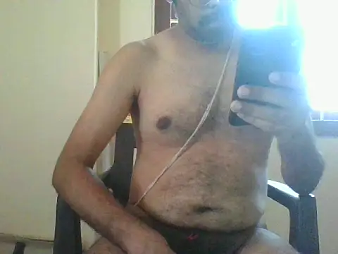 nbolla1 webcam