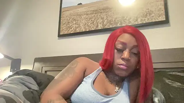 Creamesensation webcam