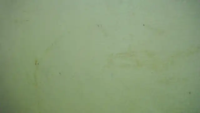 always-hot3 webcam