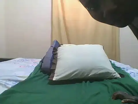 ashneily webcam