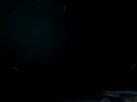 funalu webcam
