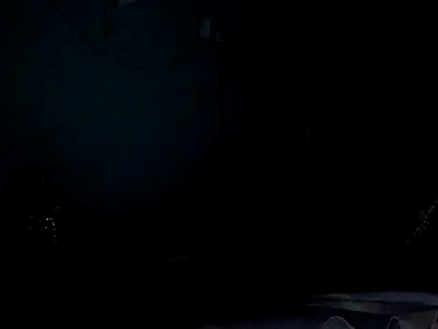 funalu webcam