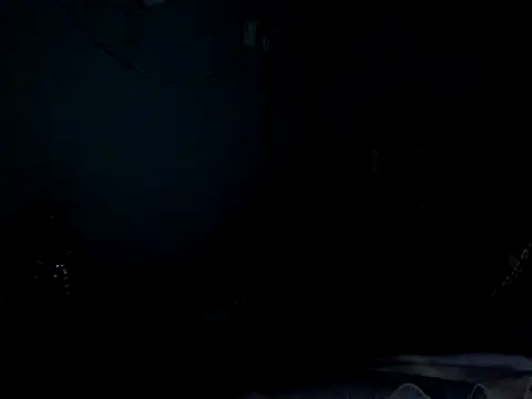 funalu webcam