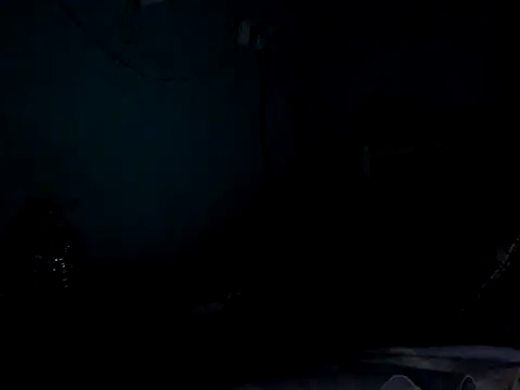 funalu webcam