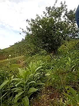 Heryy_xx live cam