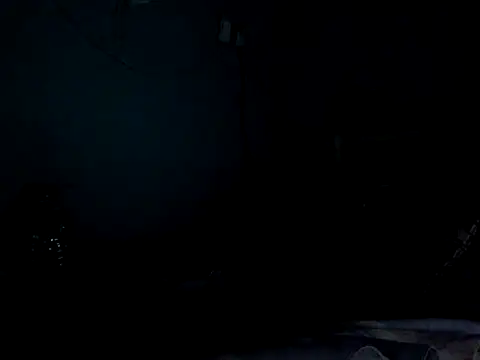 funalu webcam