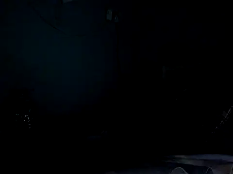 funalu webcam