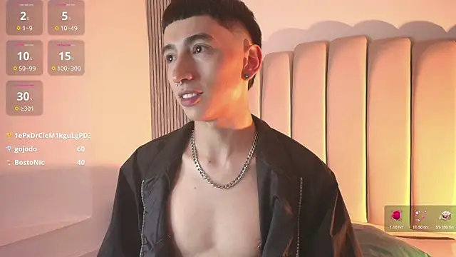 lian_cameron webcam
