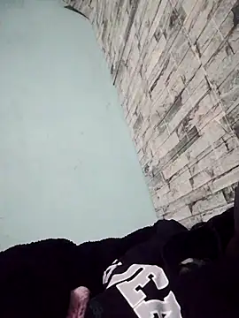 DigCrok webcam