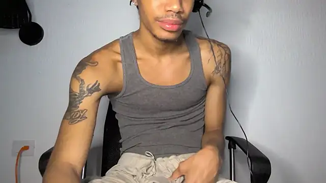 BlackBullTitus webcam
