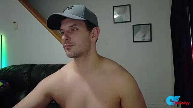 Thekodyy webcam