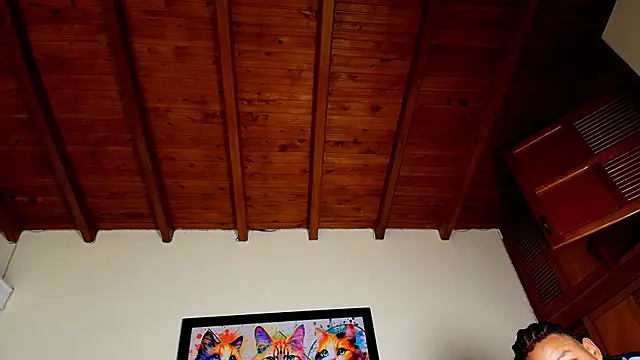 jordan_mm420 webcam