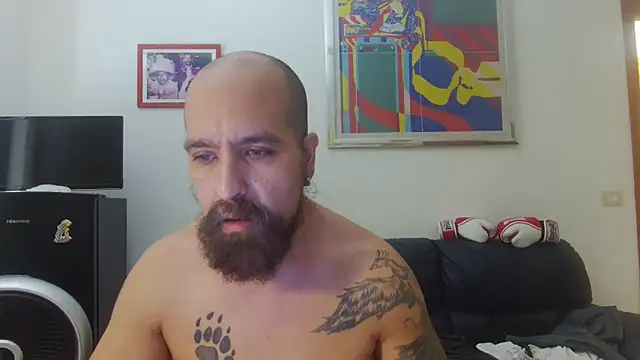 AMIRDIB2025 webcam