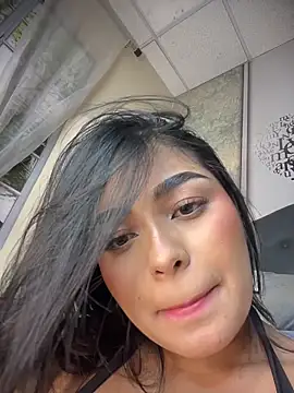 EvasBlazeXXX webcam
