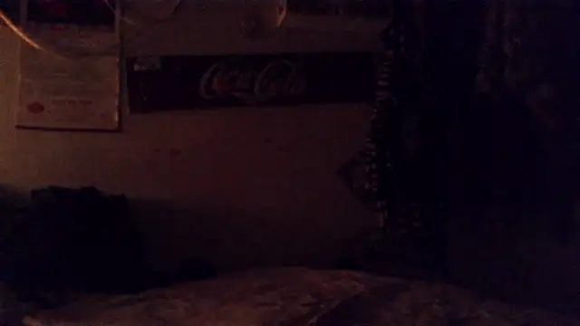 VanillaSnowcones webcam