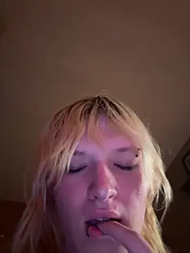 Ragnarrodbrok webcam