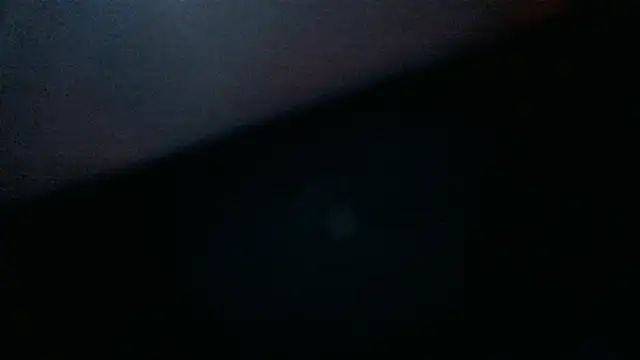 KingstonRay webcam