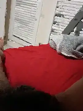 Brickstash webcam