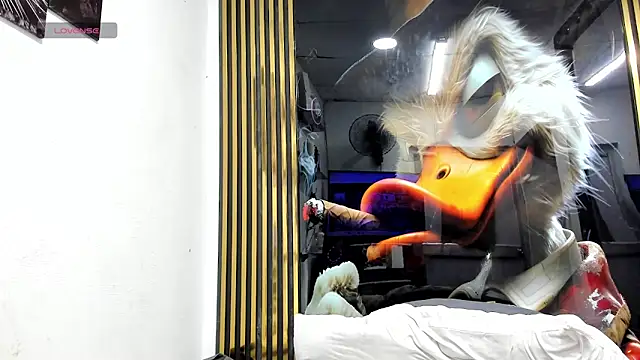michell78sexy webcam